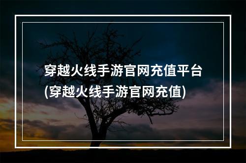 穿越火线手游官网充值平台(穿越火线手游官网充值)