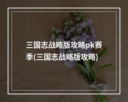 三国志战略版攻略pk赛季(三国志战略版攻略)