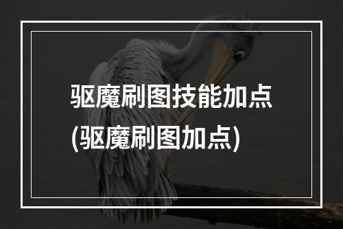 驱魔刷图技能加点(驱魔刷图加点)