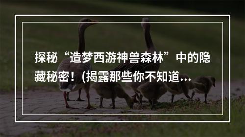 探秘“造梦西游神兽森林”中的隐藏秘密！(揭露那些你不知道的神兽森林)(飞上“造梦西游神兽森林天空”，一览全场美景！(鸟瞰神兽森林的壮丽景象))