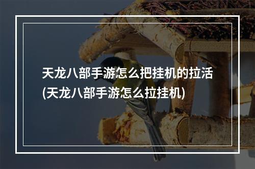 天龙八部手游怎么把挂机的拉活(天龙八部手游怎么拉挂机)