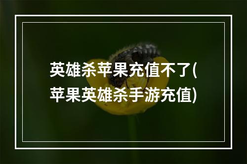 英雄杀苹果充值不了(苹果英雄杀手游充值)