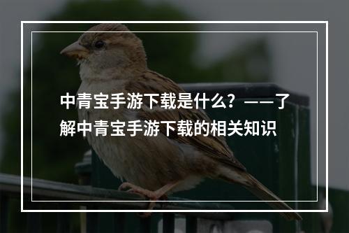 中青宝手游下载是什么？——了解中青宝手游下载的相关知识