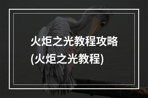 火炬之光教程攻略(火炬之光教程)