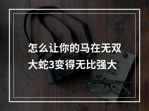 怎么让你的马在无双大蛇3变得无比强大