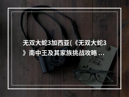 无双大蛇3加西亚(《无双大蛇3》南中王及其家族挑战攻略 加拉夏体力任务)