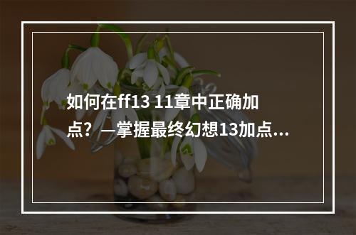 如何在ff13 11章中正确加点？—掌握最终幻想13加点攻略