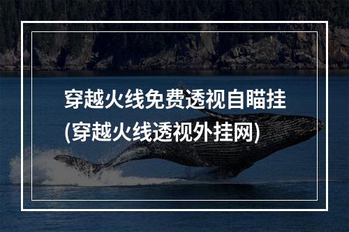 穿越火线免费透视自瞄挂(穿越火线透视外挂网)