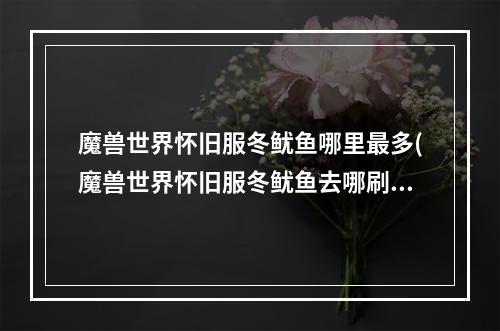 魔兽世界怀旧服冬鱿鱼哪里最多(魔兽世界怀旧服冬鱿鱼去哪刷 速刷冬鱿鱼地点推荐 魔兽世 )