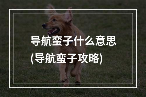 导航蛮子什么意思(导航蛮子攻略)