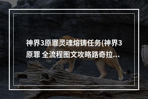 神界3原罪灵魂熔铸任务(神界3原罪 全流程图文攻略路奇拉主线灵魂熔炉)