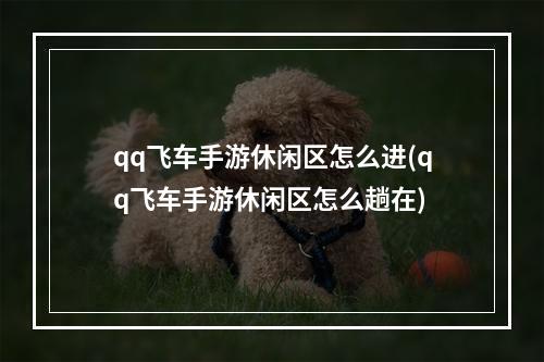 qq飞车手游休闲区怎么进(qq飞车手游休闲区怎么趟在)