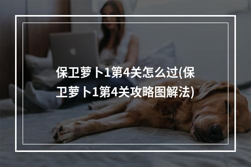 保卫萝卜1第4关怎么过(保卫萝卜1第4关攻略图解法)