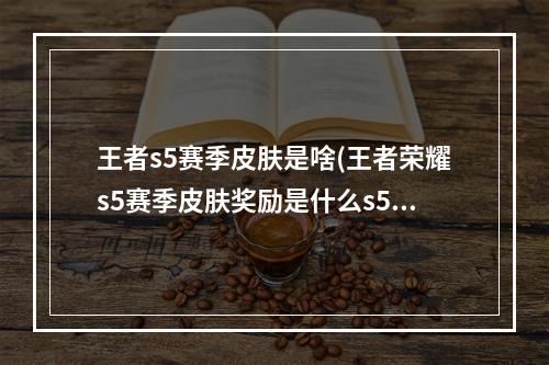 王者s5赛季皮肤是啥(王者荣耀s5赛季皮肤奖励是什么s5赛季皮肤什么时候领取)