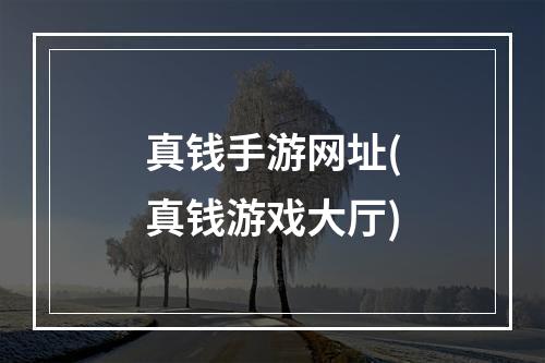 真钱手游网址(真钱游戏大厅)