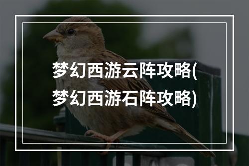 梦幻西游云阵攻略(梦幻西游石阵攻略)