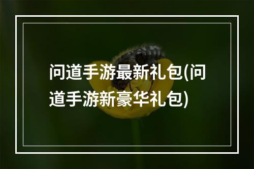 问道手游最新礼包(问道手游新豪华礼包)