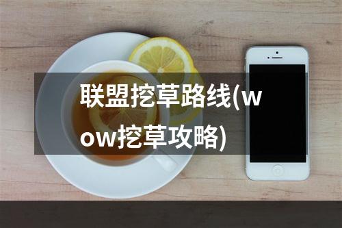 联盟挖草路线(wow挖草攻略)