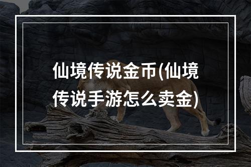 仙境传说金币(仙境传说手游怎么卖金)