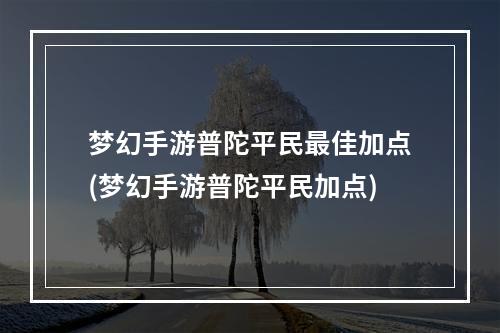 梦幻手游普陀平民最佳加点(梦幻手游普陀平民加点)