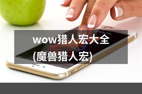 wow猎人宏大全(魔兽猎人宏)