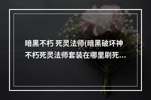 暗黑不朽 死灵法师(暗黑破坏神不朽死灵法师套装在哪里刷死灵法师套装)