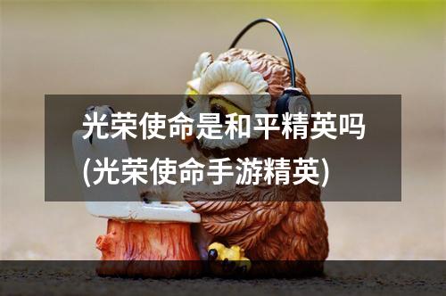 光荣使命是和平精英吗(光荣使命手游精英)