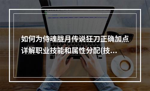 如何为侍魂胧月传说狂刀正确加点详解职业技能和属性分配(技能效果和属性加成)