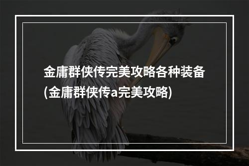 金庸群侠传完美攻略各种装备(金庸群侠传a完美攻略)