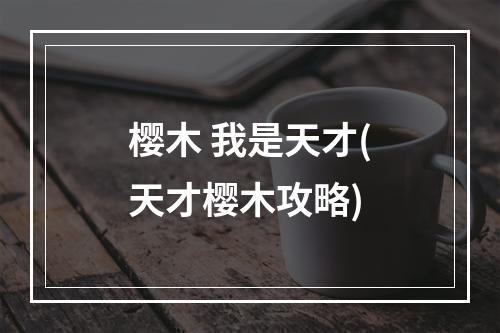 樱木 我是天才(天才樱木攻略)