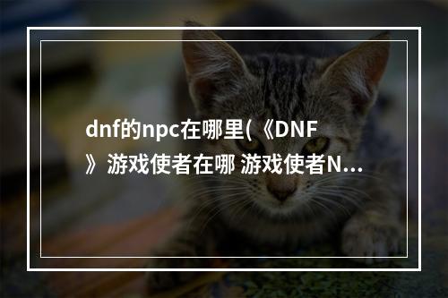 dnf的npc在哪里(《DNF》游戏使者在哪 游戏使者NPC位置坐标一览  )