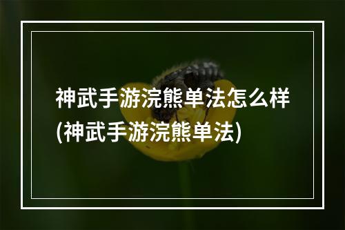 神武手游浣熊单法怎么样(神武手游浣熊单法)