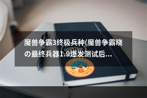 魔兽争霸3终极兵种(魔兽争霸晓の最终兵器1.9爆发测试后的心得与建议)