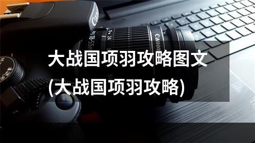 大战国项羽攻略图文(大战国项羽攻略)