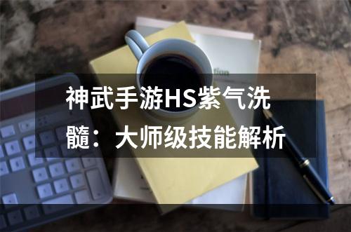 神武手游HS紫气洗髓：大师级技能解析