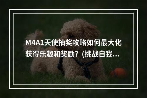 M4A1天使抽奖攻略如何最大化获得乐趣和奖励？(挑战自我，打造最强装备)