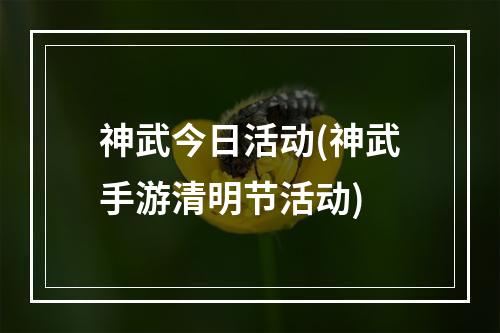 神武今日活动(神武手游清明节活动)