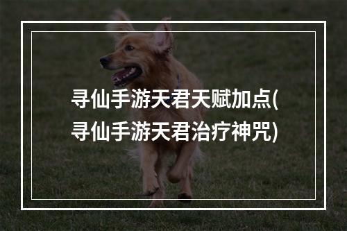 寻仙手游天君天赋加点(寻仙手游天君治疗神咒)