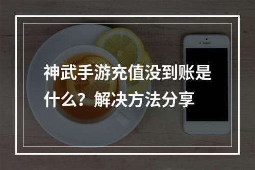 神武手游充值没到账是什么？解决方法分享