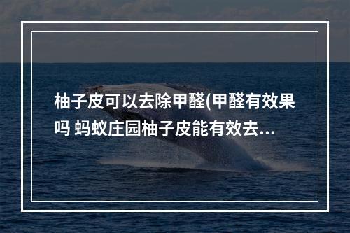 柚子皮可以去除甲醛(甲醛有效果吗 蚂蚁庄园柚子皮能有效去除室内甲醛吗)