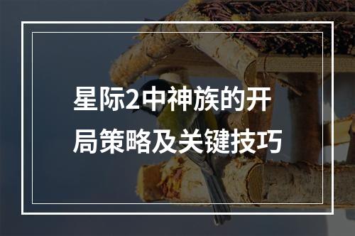 星际2中神族的开局策略及关键技巧