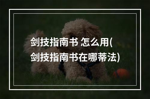 剑技指南书 怎么用(剑技指南书在哪蒂法)