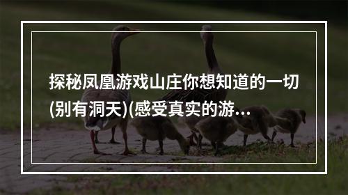 探秘凤凰游戏山庄你想知道的一切(别有洞天)(感受真实的游戏体验凤凰游戏山庄证书畅游指南(不容错过))