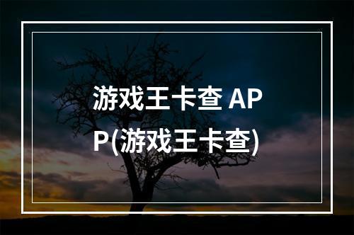 游戏王卡查 APP(游戏王卡查)