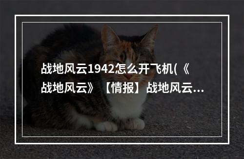 战地风云1942怎么开飞机(《战地风云》【情报】战地风云1942相关模组内容及相关)