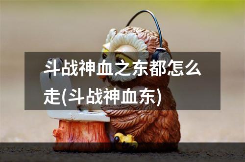 斗战神血之东都怎么走(斗战神血东)