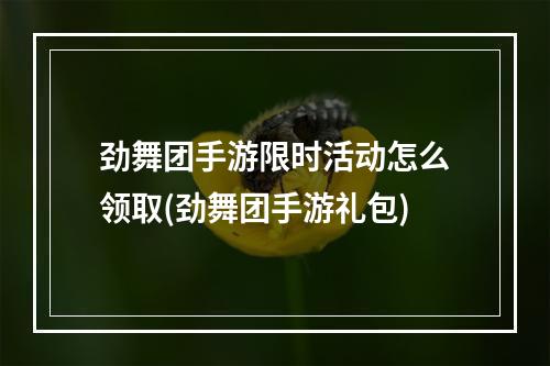 劲舞团手游限时活动怎么领取(劲舞团手游礼包)