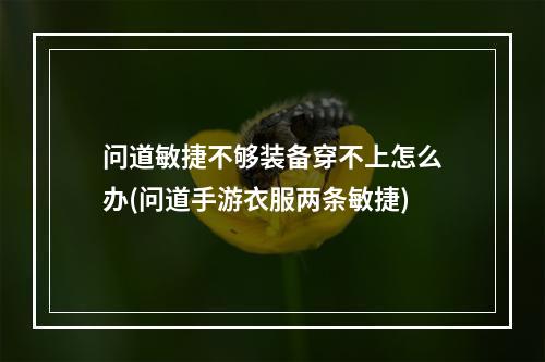 问道敏捷不够装备穿不上怎么办(问道手游衣服两条敏捷)