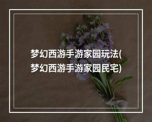 梦幻西游手游家园玩法(梦幻西游手游家园民宅)