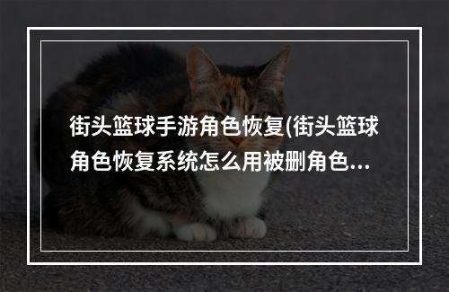 街头篮球手游角色恢复(街头篮球角色恢复系统怎么用被删角色可以恢复吗)